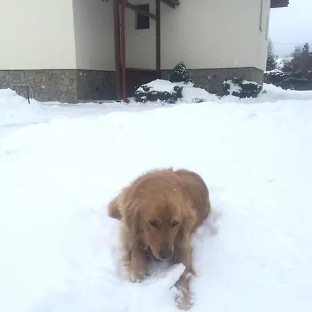 Rekreačný Domček A - Pri Potoku Velicna